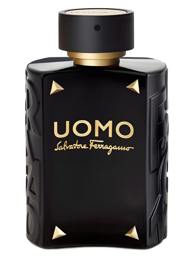 UOMO SALVATORE FERRAGAMO LIMITED EDITION EDT 100ML - Image 2