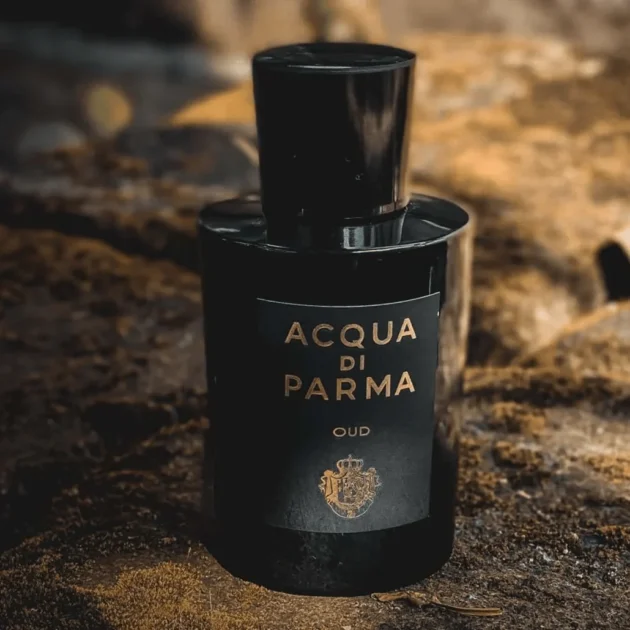 ACQUA DI PARMA OUD EDP 100ML - Image 2