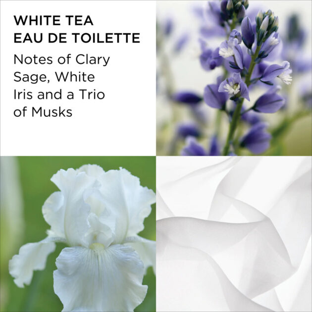 ELIZABETH ARDEN WHITE TEA EDT + BODY CREAM GIFT SET - Image 4
